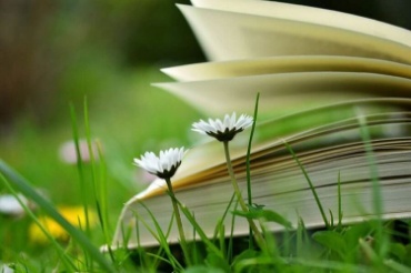 Ürünleri Kitap & Kırtasiye kategorisinde göster Kitap & Kırtasiye kategorisi için resim