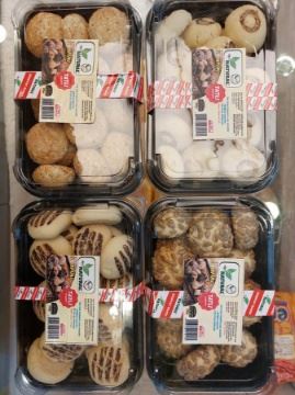 Vipnatural Tatlı Kurabiye 300 Gr için ayrıntıları göster Vipnatural Tatlı Kurabiye 300 Gr resmi