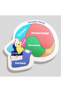 Moonbeavers Kafanın Yapısı Eğitici Öğretici Geliştirici Ahşap Sağlıklı Oyuncak için ayrıntıları göster Moonbeavers Kafanın Yapısı Eğitici Öğretici Geliştirici Ahşap Sağlıklı Oyuncak resmi