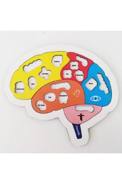 Moonbeavers Beynimi Öğreniyorum Eğitici Öğretici Geliştirici Ahşap Sağlıklı Oyuncak için ayrıntıları göster Moonbeavers Beynimi Öğreniyorum Eğitici Öğretici Geliştirici Ahşap Sağlıklı Oyuncak resmi