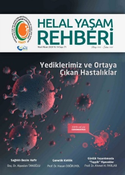 E-Dergi Helal Yaşam Rehberi 71. Sayısı (PDF) için ayrıntıları göster E-Dergi Helal Yaşam Rehberi 71. Sayısı (PDF) resmi