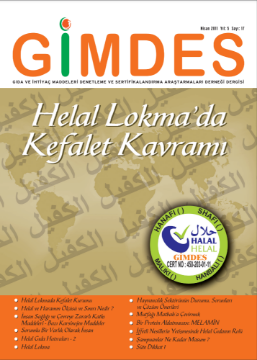 E-Dergi Helal Yaşam Rehberi 17. Sayısı (PDF) için ayrıntıları göster E-Dergi Helal Yaşam Rehberi 17. Sayısı (PDF) resmi