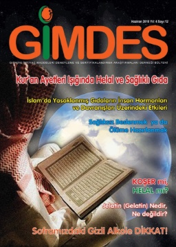 E-Dergi Helal Yaşam Rehberi 12. Sayısı (PDF) için ayrıntıları göster E-Dergi Helal Yaşam Rehberi 12. Sayısı (PDF) resmi