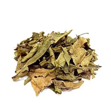 Naturalce Çınar Yaprağı 20 Gr için ayrıntıları göster Naturalce Çınar Yaprağı 20 Gr resmi