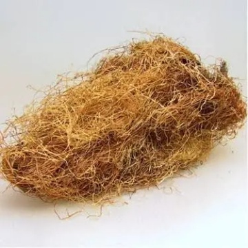 Naturalce Mısır Püskülü 30 Gr için ayrıntıları göster Naturalce Mısır Püskülü 30 Gr resmi