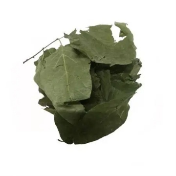 Naturalce Ayva Yaprağı 20 Gr için ayrıntıları göster Naturalce Ayva Yaprağı 20 Gr resmi