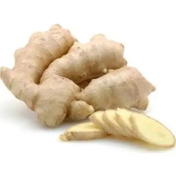 Naturalce Kök Zencefil 100 Gr için ayrıntıları göster Naturalce Kök Zencefil 100 Gr resmi