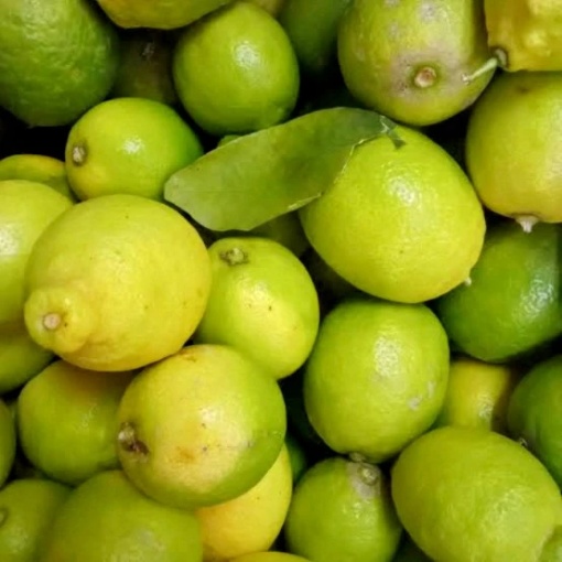 Doğal Mersin İlaçsız Limon 500-600 Gr resmi